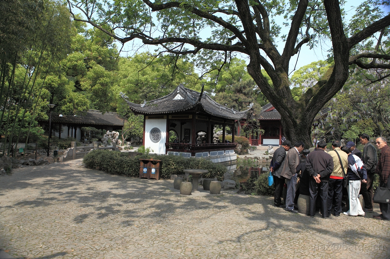 EOS 5D Mark II19_04_20135703.JPG